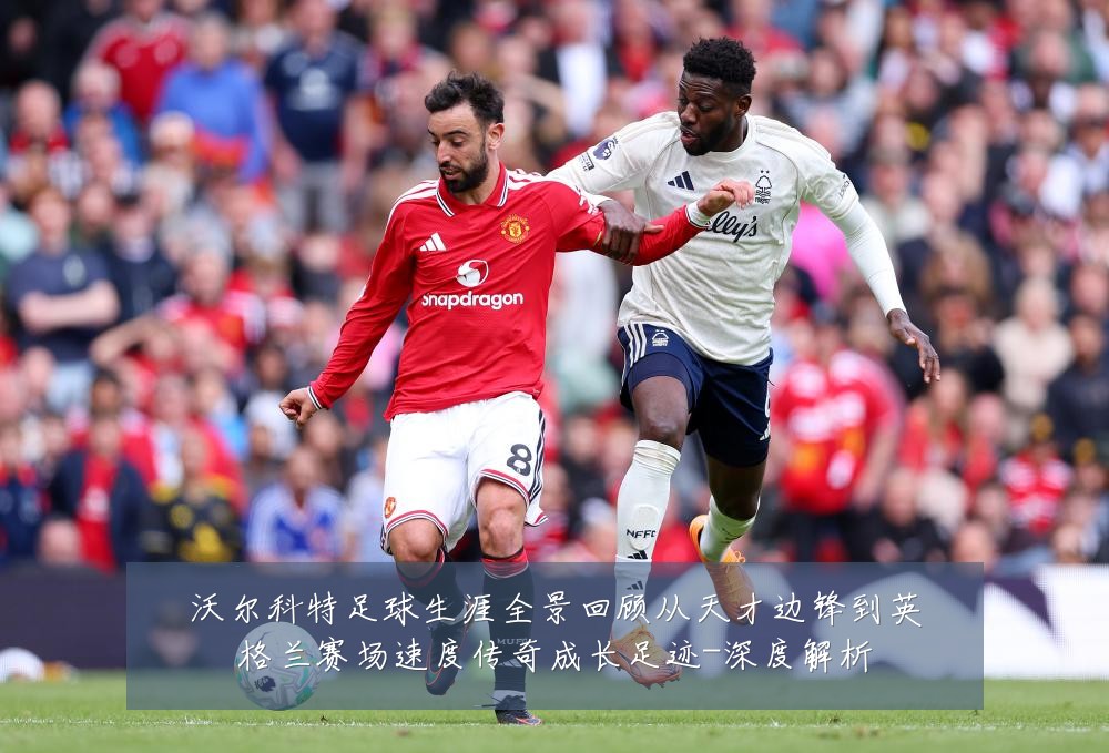 沃尔科特足球生涯全景回顾从天才边锋到英格兰赛场速度传奇成长足迹-深度解析
